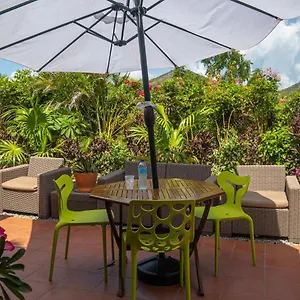 Papaya Guest house